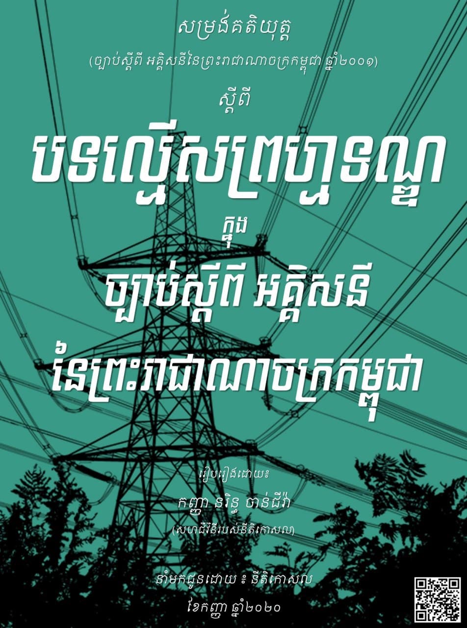 បទល្មើសព្រហ្មទណ្ឌក្នុងច្បាប់ស្តីពី អគ្គិសនីនៃព្រះរាជាណាចក្រកម្ពុជា ឆ្នាំ២០០១